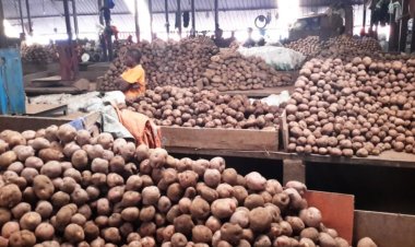 Abaturage barinubira ibura n'ihenda ry'ibirayi ku isoko