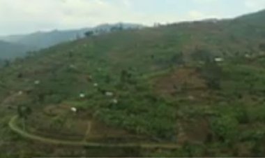 Nyabihu- Shyira: Barashinja Gitifu kubarira amafaranga y'ubwisungane mu Kwivuza