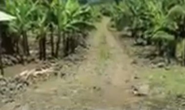 Musanze - Muko: Baratabariza umuturage uri kubaka wenyine umuhanda wa 10km watangiye kwangirika