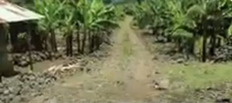 Musanze - Muko: Baratabariza umuturage uri kubaka wenyine umuhanda wa 10km watangiye kwangirika