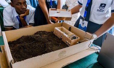 Abiga coding baracyazitiwe no kutabona inkunga ku mishinga baba batangije