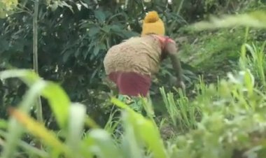 Amajyaruguru: abagore wo mu cyaro ntibaragirirwa icyizere n’ibigo by’imari