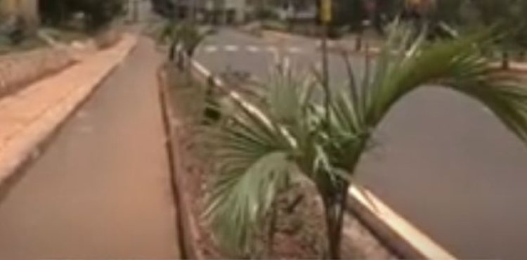 Rwamagana: Baribaza impamvu mu mijyi haterwa imikindo gusa