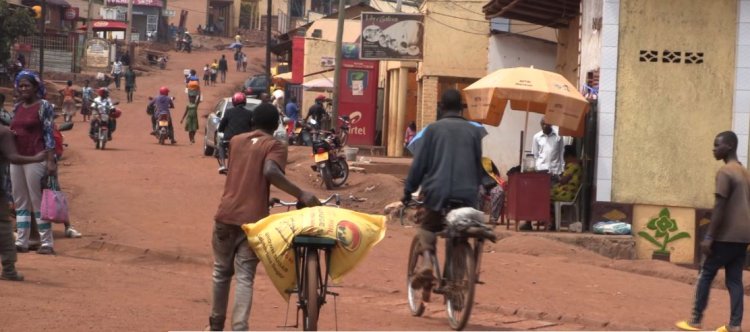 Rulindo: Abatuye umurenge wa Murambi barataka ko barembejwe n'ubujura bw'amatungo