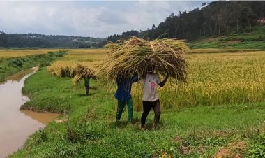 Huye: Kutagira ubwanikiro buhagije bituma bagwa mu gihombo