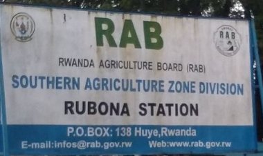 Huye: Abubatse ikiraro cy’inka cya kijyambere barasaba kwishyurwa miliyoni 5