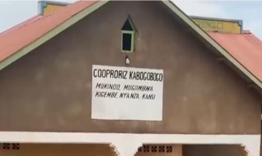 Gisagara: Barasaba imbuga zo kwanikaho umuceri basarura