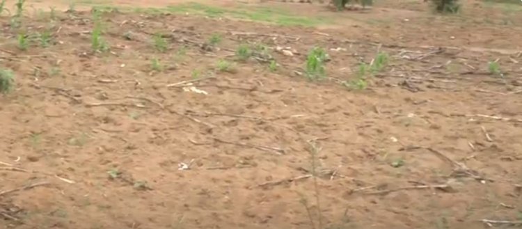 Kayonza: Ndego barabaza aho umushinga wo kuhira waheze