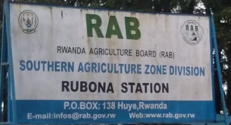 Huye: Abubatse ikiraro cy’inka cya kijyambere barasaba kwishyurwa miliyoni 5