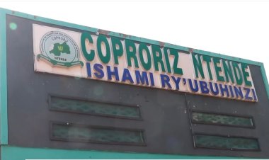 Gatsibo: Abanyamuryango ba koperative COPRORIZ-Ntende ntibumva impamvu bakwa undi mugabane