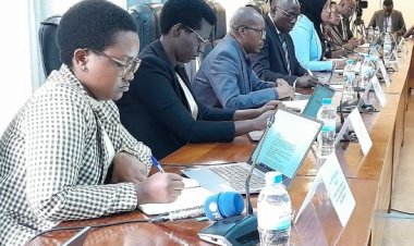 “haba hari imbogamizi ihari?”Abadepite ku ishyirwa mu bikorwa ry’amategeko agena ibindi bihano bitari ugufunga