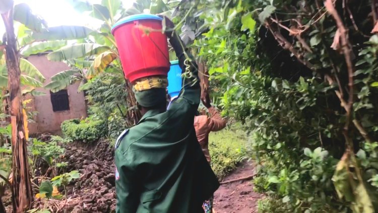 Musanze: Abarerera mu rwunge rw'amashuli rwa Birira barinubira amafunguro ahabwa abana