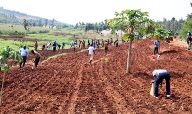 Abahinga hafi y'igishanga cya Nyirabidibiri barasaba gufashwa kubona imashini