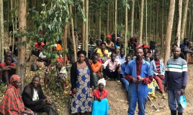 Abahinzi ba koperative barasaba kurenganurwa ku mushoramari ushaka kubahuguza igishanga cya Kinosho