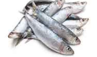 Rusizi: abaroba n'abatunganya isambaza baracyagowe n'ubuziranenge