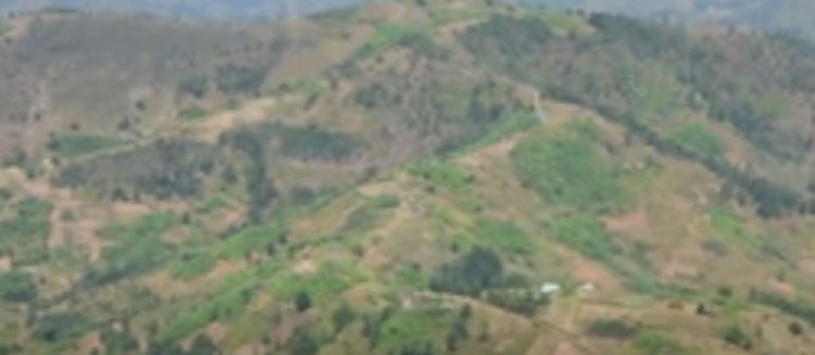 Muhanza: Abatuye mu misozi miremire barashima materasi ndinganire yatumye bongera umusaruro