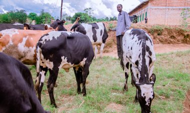 Nyaruguru:  barashima ko borojwe inka nyuma yuko igicaniro cyari cyarazimye