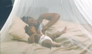 Nyagatare: Bakora ibishoboka ngo birinde Malaria, ariko bikanga bakayirwara 