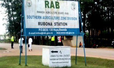 Abahoze bayobora ISAR-RUBONA baranengwa kudatabara  abatutsi bari babahungiyeho