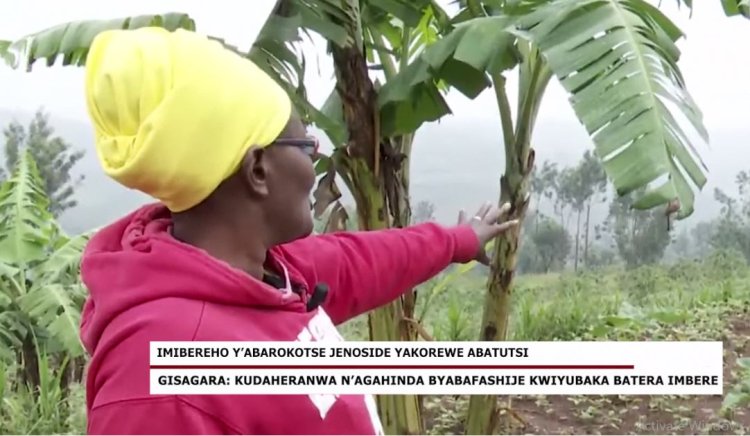 Gisagara: Kudaheranwa n'agahinda byabafashije kwiyubaka batera imbere