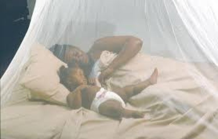 Nyagatare: Bakora ibishoboka ngo birinde Malaria, ariko bikanga bakayirwara 