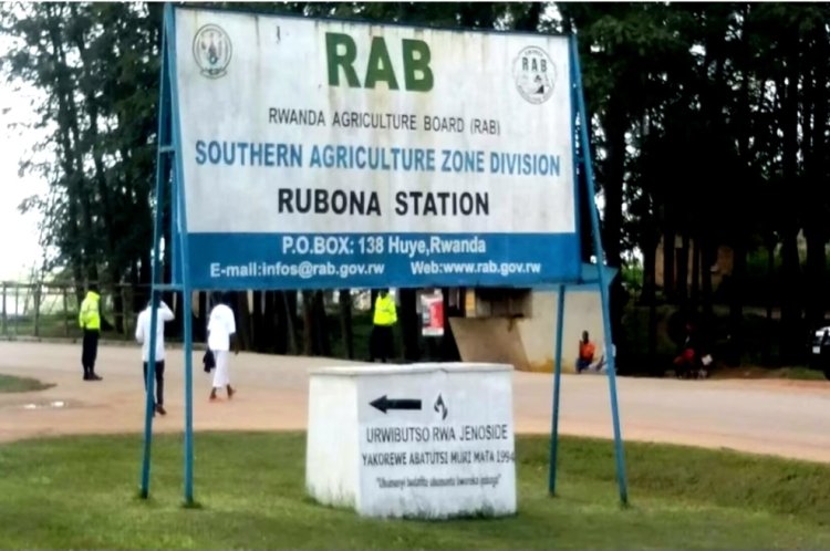 Abahoze bayobora ISAR-RUBONA baranengwa kudatabara  abatutsi bari babahungiyeho