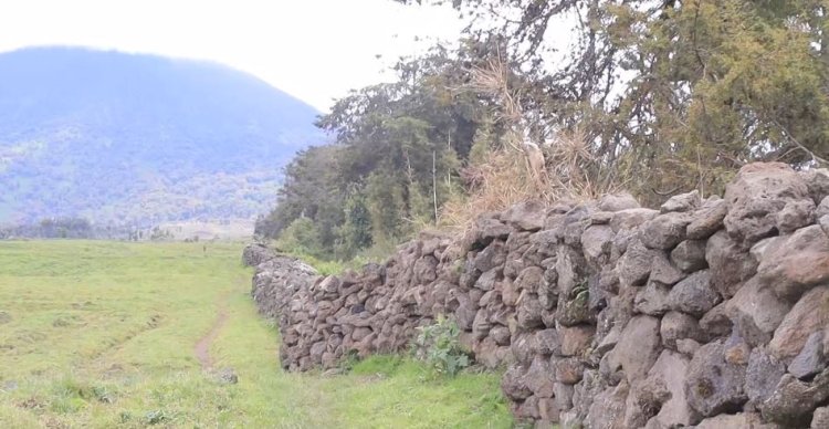 Musanze: Hari abaturanye n'ishyamba ry'ibirunga bahangayikishijwe n'inyamaswa zivamo zikabahutaza