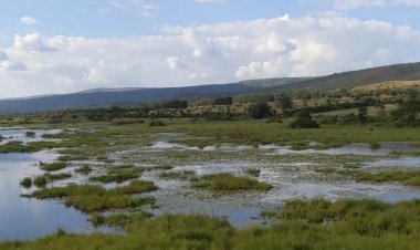 Kayonza:  Barasaba ko igishanga kinini cya Rwinkwavu - Kageyo - Murundi cyatunganywa