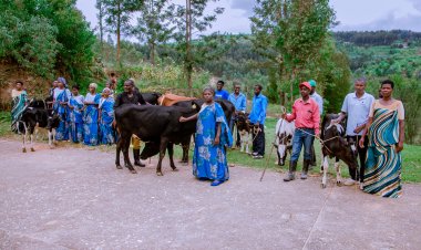 Nyamagabe: Abaturage barasabwa kutamarira ku isoko umusaruro wose w'ibikomoka ku matungo