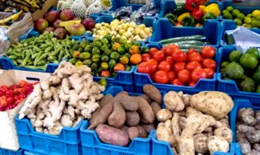 Umusaruro w'ibiribwa ngandurarugo waragabanutse mu gihembwe cya mbere cy'uyu mwaka