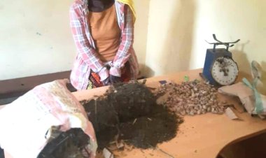 Nyarugenge: Polisi yafashe umugore ucuruza urumogi