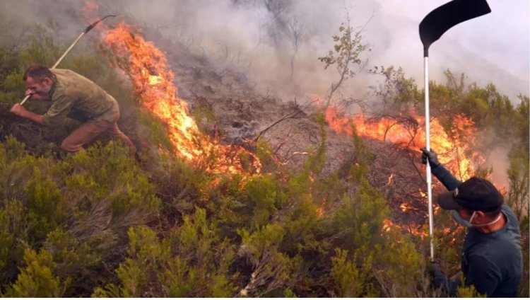 Impinduka z’ibihe zatumye ubushyuhe bwateje inkongi z'umuriro ziyongera inshuro 40