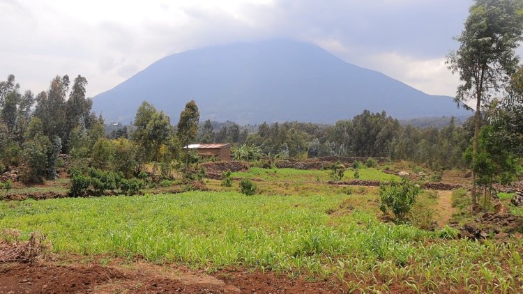 Musanze: Barasabira ubutabera umwana w'imyaka 9 wasambanyijwe n'abantu bataramenyekana