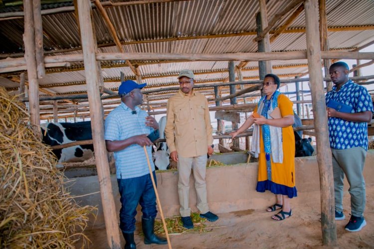 Izamuka ry’ibiciro by'ibiryo n'imiti by’amatungo byagaragajwe nka zimwe  mu mbogamizi zikomereye aborozi muri Nyagatare