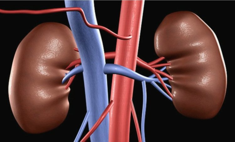  U Rwanda rwazigamye miliyari 1,1 Frw mu gutanga serivisi zo gusimbuza impyiko