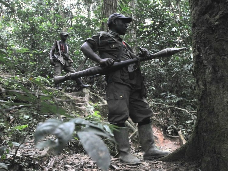 RDC yatangije igikorwa cyo guhiga FDLR, yagaragaje imbogamizi  za bimwe mu birindiro biri ahagenzurwa na AFC/M23