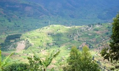 Ese koko ikibazo cyo gutinda kwa service z'ubutaka byaba byabonewe umuti?