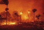 USA: Umugabo ukekwaho guteza inkongi muri Los Angeles yashinjwe kwihorera ku bakire