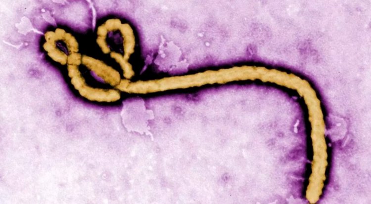 Amerika yatangaje inkunga ya miliyoni $13 yo guhangana na Ebola muri RDC na Uganda